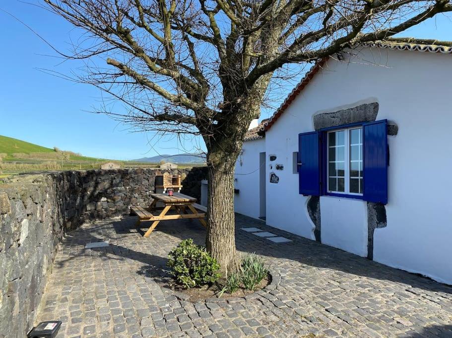 Vacas Felizes Villas - Casa Da Bilha Rabo de Peixe ภายนอก รูปภาพ